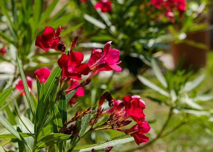 Villa Sveti Jakov Sveti Jakov