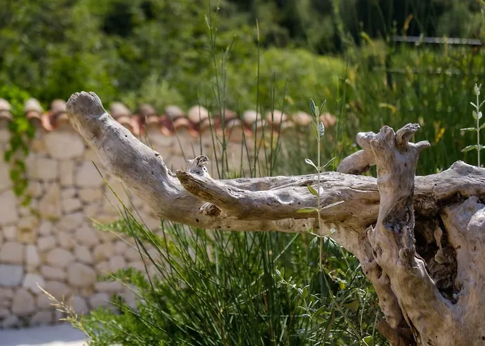 Villa Sveti Jakov Villa Sveti Jakov