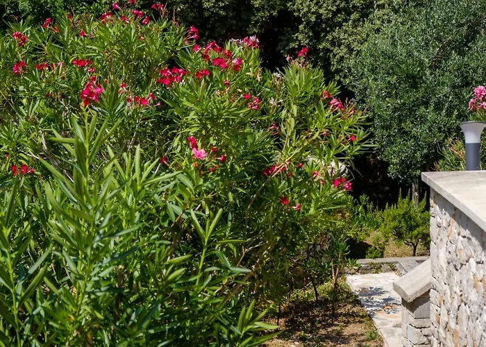 Villa Sveti Jakov Sveti Jakov